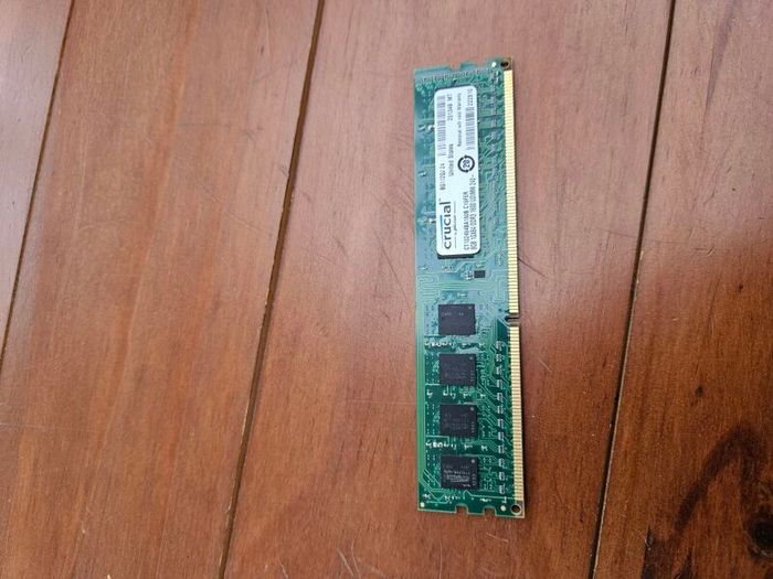 Ram