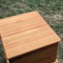 Toy storage, solid wood chest Image 5