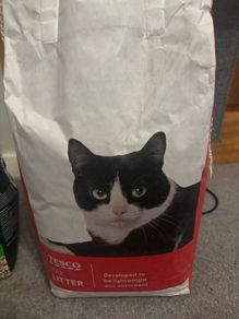 Free cat litter