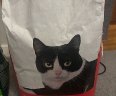 Free cat litter