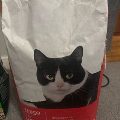 Free cat litter