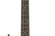 Bass Guitar