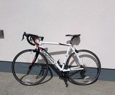 Wilier triestina
