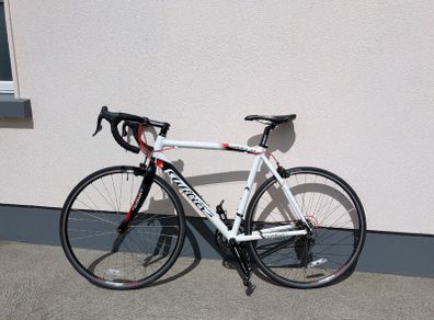 Wilier triestina