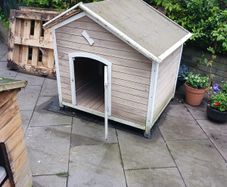 large dog kennel