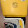 Fairtex 10oz Gloves Image 6