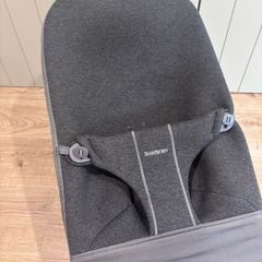 Baby Bjorn Bouncer