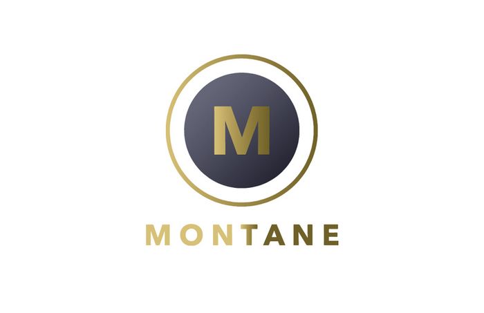 Montane Developments Jobs: Health and Safety Professional for Construction