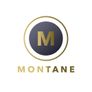 Montane Developments Jobs: Health and Safety Professional for Construction Image 2