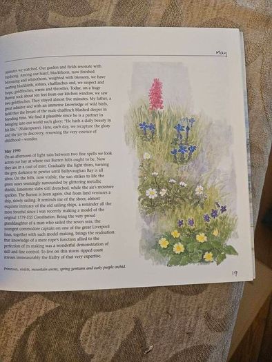 A Burren Journal.  By Sarah Poyntz. Illustrated By Gordon D'arcy & Anne Corff. Large Volume Paperback In Good Condition.  See Photos For Same.