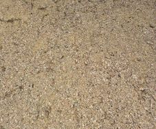Pea/Barley combi crop, rolled and treated