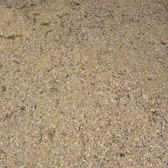 Pea/Barley combi crop, rolled and treated