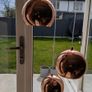 Modern Copper/Rose Gold 3 Globe Pendant Light Image 2
