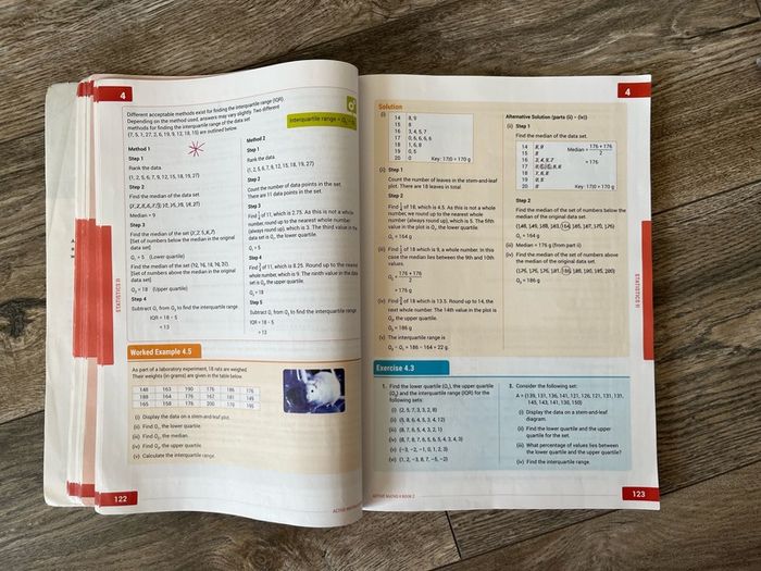Active maths 4