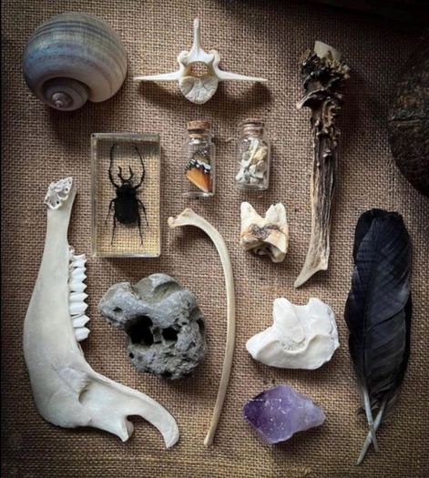 Mystery Oddities Boxes Made Your Way