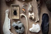 Mystery Oddities Boxes Made Your Way