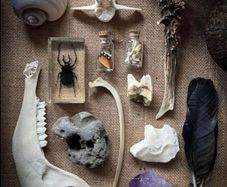 Mystery Oddities Boxes Made Your Way