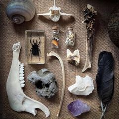 Mystery Oddities Boxes Made Your Way
