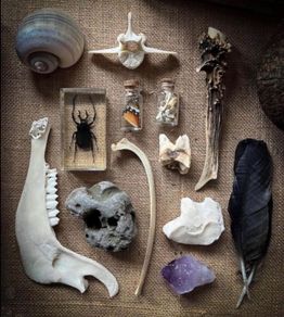 Mystery Oddities Boxes Made Your Way