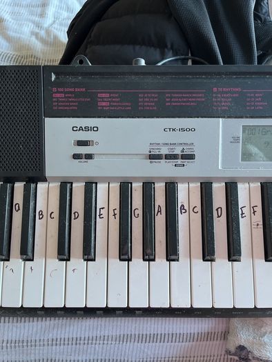 Casio keyboard