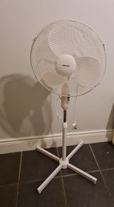 fan