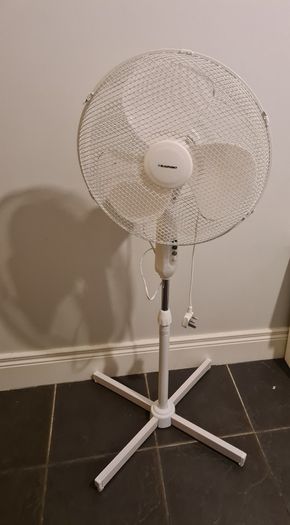 fan