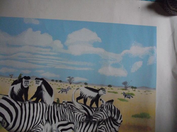 E.B. Watts - Ltd. Edition Print - 39/200 - Zebras and Colobus Monkeys - 20th Century