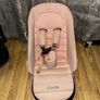 pram Image 7