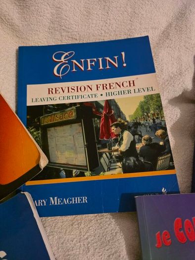 5 french learning books