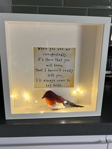 Light up robin frame
