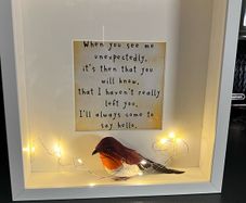 Light up robin frame