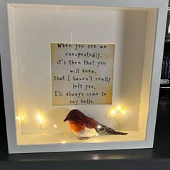Light up robin frame