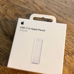 USB C to Apple Pencil 1st Gen Adapter