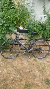 fuji road bike
