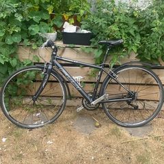 fuji road bike