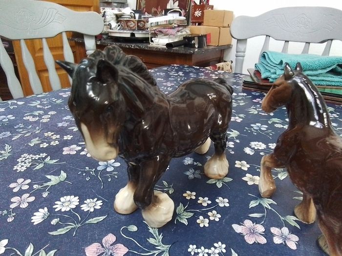 Two Clydesdale Horses