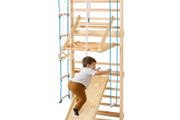Swedish Ladder Wall Gym, 8-in-1 15 Levels Solid Wood Indoor Jungle Gym, 220LBS Wall Stall Bars Climbing Playset with Wall Ladder, Slide Board, Pull-Up Bar, Gym Rings, Swing Seat, Rope Ladder