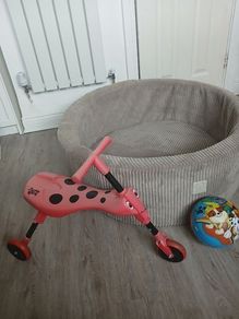 Ball pit 85cm x 28cm H and ladybug scooter