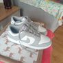 Nike Dunks Image 3