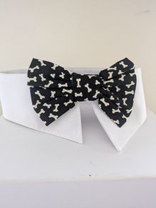Novelty Dog collar