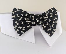Novelty Dog collar