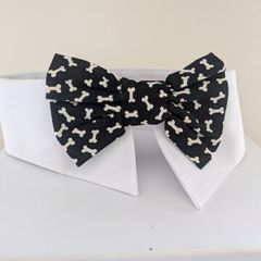 Novelty Dog collar