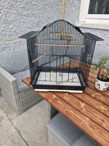 Bird cage