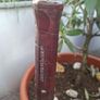 Stunning pair of Vintage 1950's Dunlop Kenton Rackets Image 3