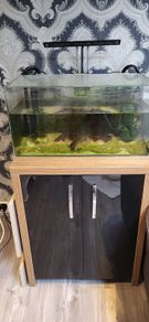fish tank
