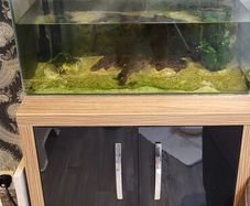 fish tank