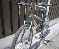 bike 24"