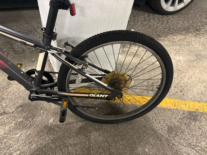 Giant Revel Mountain Bike