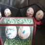 Hand Painted eggs in Cases Image 3