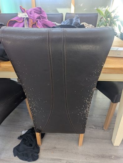 Table and Chairs free to take away